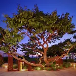 The Atlantic - Small Luxury Of The World 4* Saint Brelade