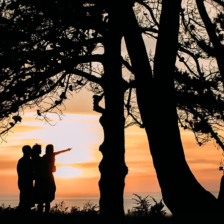 ホテル The Atlantic - Small Luxury Of The World 4*